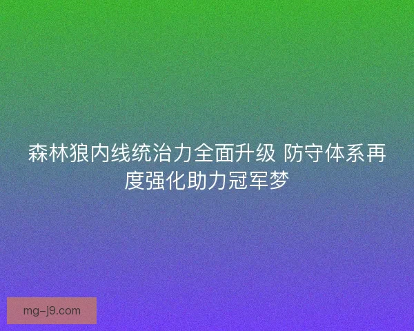 森林狼内线统治力全面升级 防守体系再度强化助力冠军梦