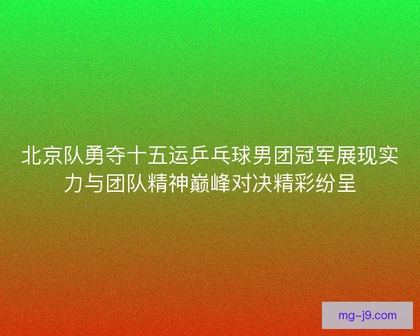 北京队勇夺十五运乒乓球男团冠军展现实力与团队精神巅峰对决精彩纷呈